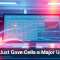 Social Media Becomes a Cybercriminal&rsquo;s Favorite Weapon